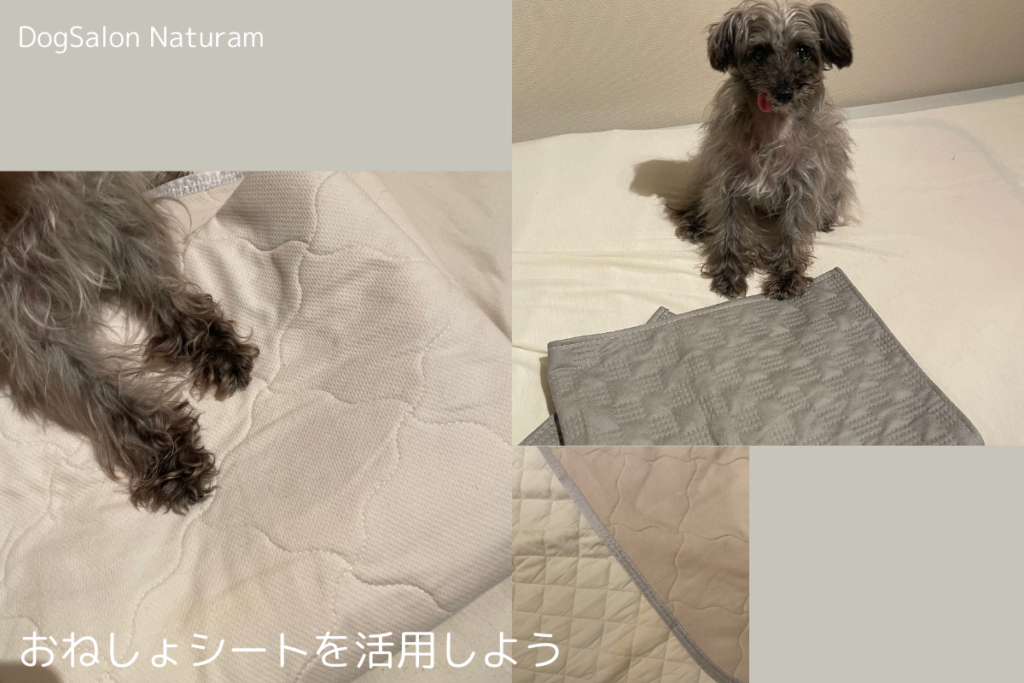 犬用おねしょシート